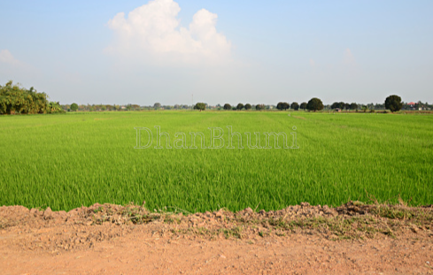 property_images/agricultural_in_saharanpur_1785923075_6a730603902bd.png
