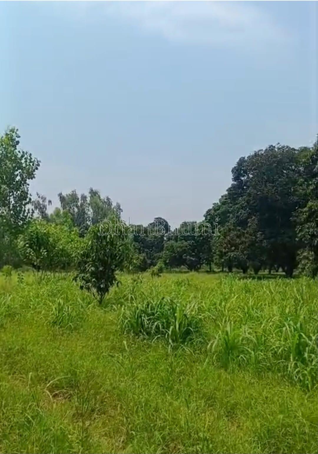 property_images/agricultural_in_saharanpur_1789724297_6aad06896bb9e.jpeg