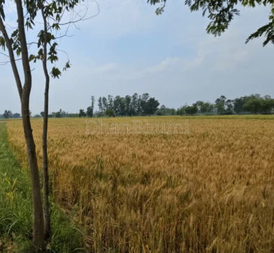 property_images/agricultural_in_saharanpur_1789725077_6aad0995468d5.png