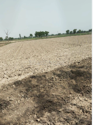property_images/agricultural_in_saharanpur_1789725463_6aad0b172ef8e.png