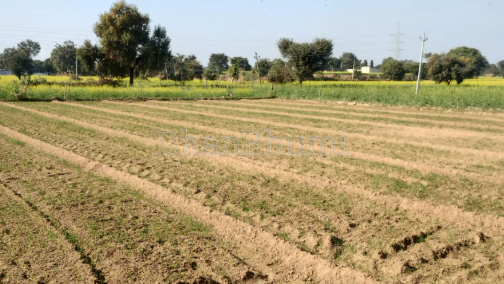 property_images/agricultural_in_saharanpur_1789725663_6aad0bdf8e31f.png
