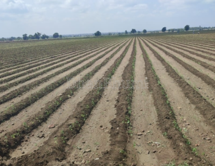 property_images/agricultural_in_saharanpur_1789725835_6aad0c8bd09bd.png