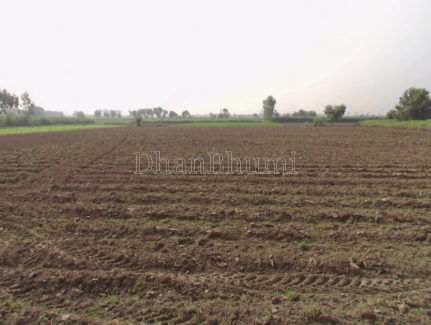 property_images/agricultural_in_saharanpur_1789726046_6aad0d5ea50a6.png