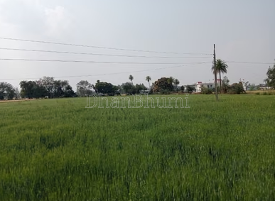 property_images/agricultural_in_saharanpur_1790679228_6abb98bc5ec93.PNG