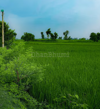 property_images/agricultural_in_saharsa_1788243269_6a966d45db06a.png