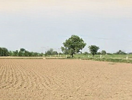 property_images/agricultural_in_sakti_1790848225_6abe2ce1310f2.png