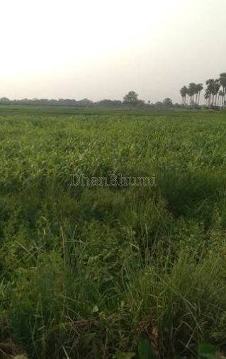 property_images/agricultural_in_samastipur_1789993382_6ab121a608569.png