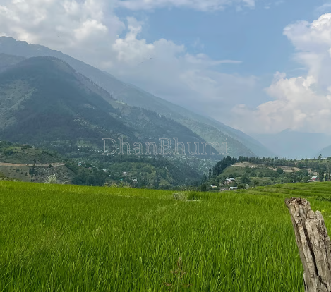 property_images/agricultural_in_samba_1788427499_6a993ceb56a32.PNG