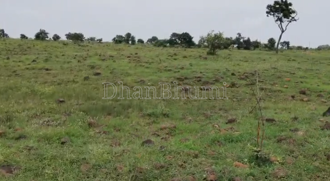 property_images/agricultural_in_sangareddy_1788179400_6a9573c8a5934.png