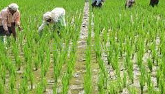 property_images/agricultural_in_sangrur_1789556233_6aaa76095cc43.png