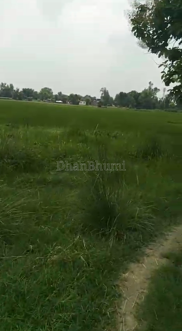 property_images/agricultural_in_sant_kabir_nagar_1785489428_6a6c6814b7eaf.png
