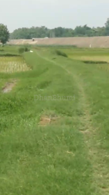 property_images/agricultural_in_sant_kabir_nagar_1785490225_6a6c6b3176bab.png
