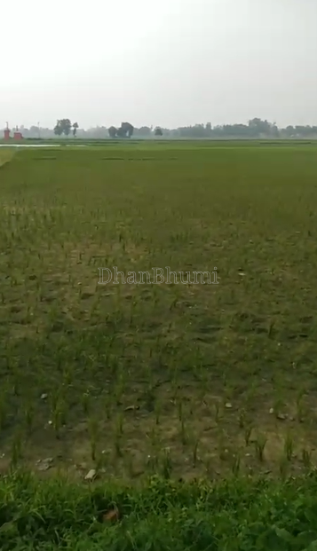 property_images/agricultural_in_sant_kabir_nagar_1785491314_6a6c6f72c38e6.png
