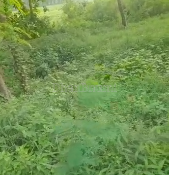 property_images/agricultural_in_sant_kabir_nagar_1785575903_6a6db9df1b7e9.png