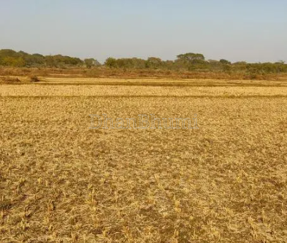 property_images/agricultural_in_sant_ravidas_nagar_1789731120_6aad2130eefcc.png