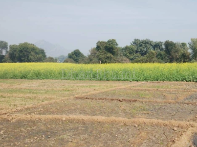 property_images/agricultural_in_sant_ravidas_nagar_1789731217_6aad219177abd.png