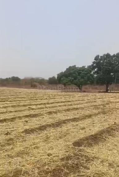 property_images/agricultural_in_satara_1780899882_6a26602a8cc6c.jpg