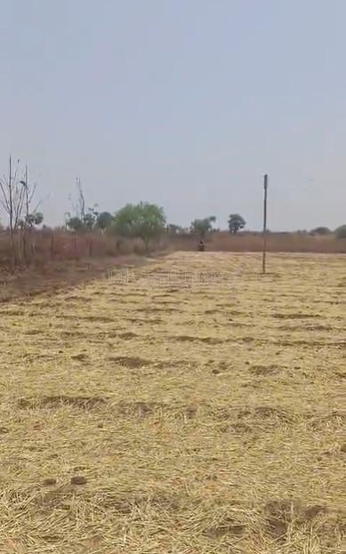 property_images/agricultural_in_satara_1780899882_6a26602a93c1d.jpg