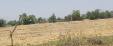 property_images/agricultural_in_satna_1785827615_6a71911f05101.png