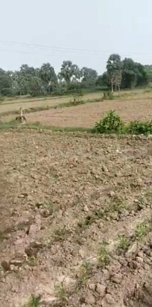 property_images/agricultural_in_satna_1785828205_6a71936d4a3bb.png