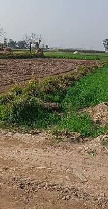 property_images/agricultural_in_satna_1785828349_6a7193fdd45c8.png