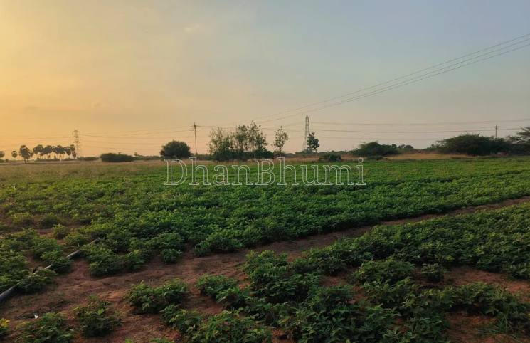 property_images/agricultural_in_satna_1787037991_6a840927da6cc.png
