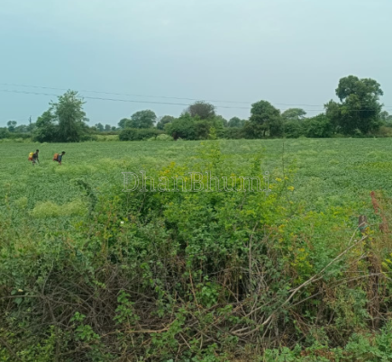 property_images/agricultural_in_satna_1789370160_6aa79f30325ad.png