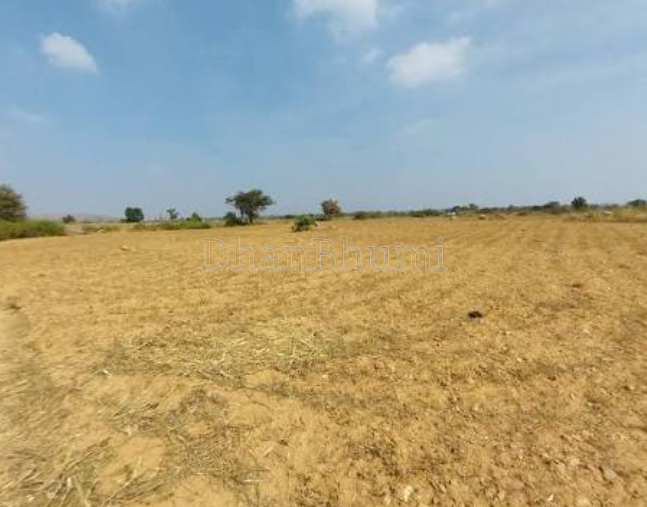 property_images/agricultural_in_sawai_madhopur_1788601341_6a9be3fd76e5b.png