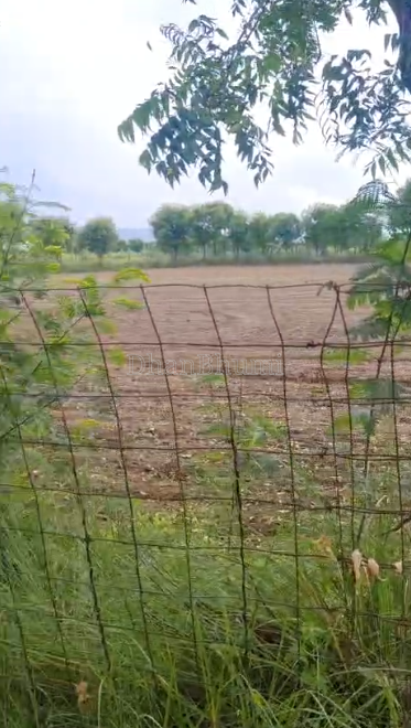 property_images/agricultural_in_sawai_madhopur_1789991702_6ab11b1644663.PNG