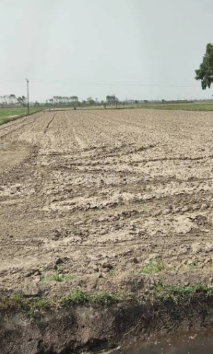 property_images/agricultural_in_sawai_madhopur_1790057564_6ab21c5cc84cc.PNG