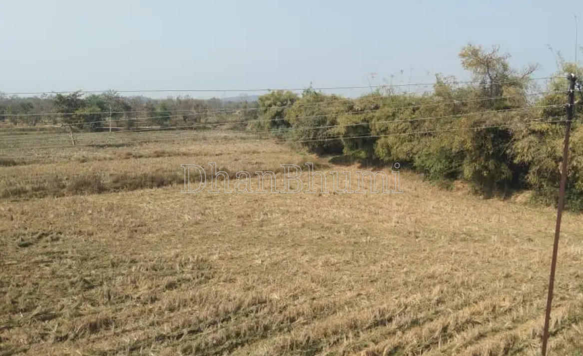property_images/agricultural_in_sehore_1787639151_6a8d356fa92d2.png