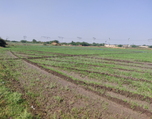 property_images/agricultural_in_sehore_1788507316_6a9a74b4c1a00.PNG