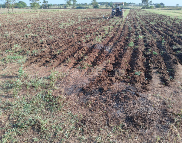 property_images/agricultural_in_sehore_1789469217_6aa922217e2b2.PNG
