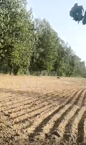 property_images/agricultural_in_sehore_1792739979_6adb0a8b4fe6b.png