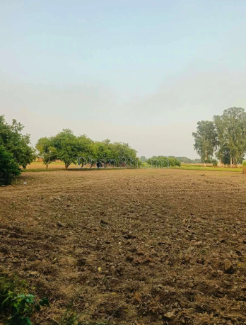property_images/agricultural_in_sehore_1792740182_6adb0b5611e12.png