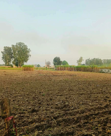 property_images/agricultural_in_sehore_1792740905_6adb0e295755a.png