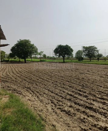 property_images/agricultural_in_sehore_1792741150_6adb0f1e9b33e.png