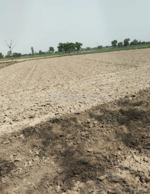 property_images/agricultural_in_sehore_1792741444_6adb1044cc52a.png