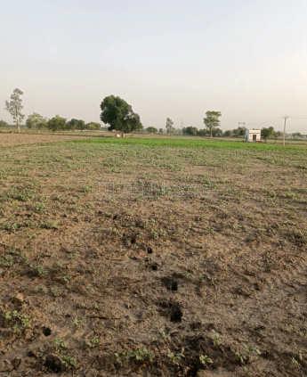 property_images/agricultural_in_sehore_1792741619_6adb10f36ea78.png
