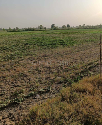 property_images/agricultural_in_sehore_1792741831_6adb11c753bd0.png