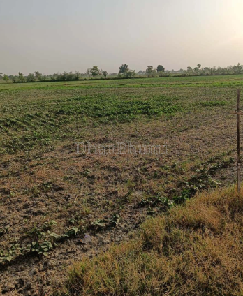 property_images/agricultural_in_sehore_1792745206_6adb1ef68bba6.png