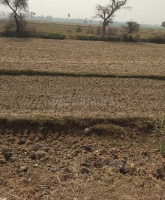 property_images/agricultural_in_sehore_1792745717_6adb20f50ebcd.png