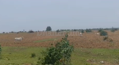property_images/agricultural_in_seoni_1785820403_6a7174f332cf9.png