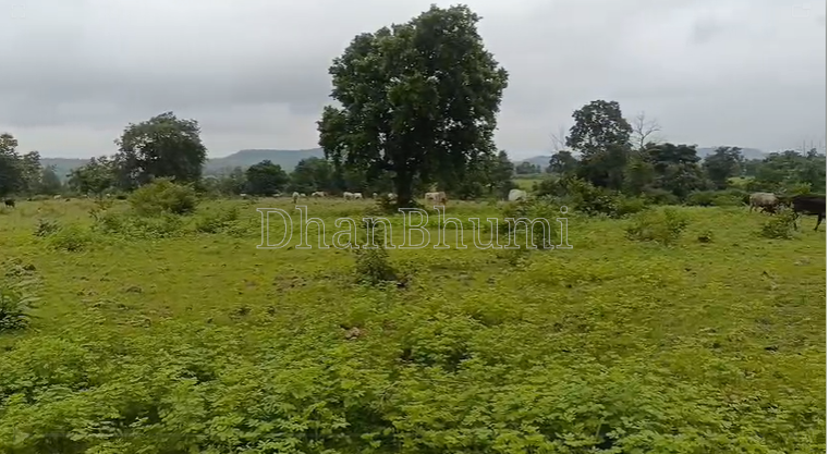 property_images/agricultural_in_seoni_1788953690_6aa1445adf36f.png