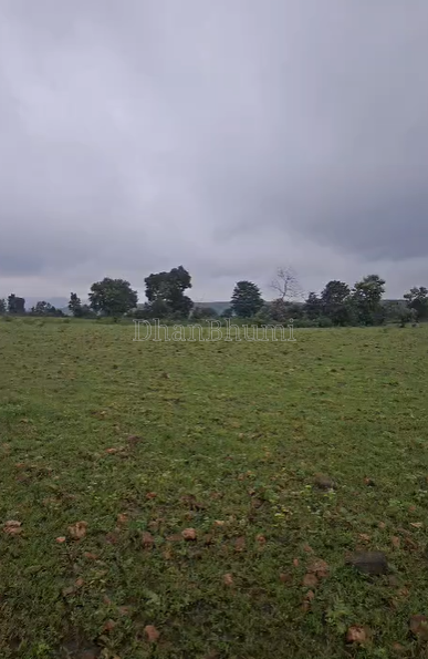 property_images/agricultural_in_seoni_1788954083_6aa145e37e55e.png