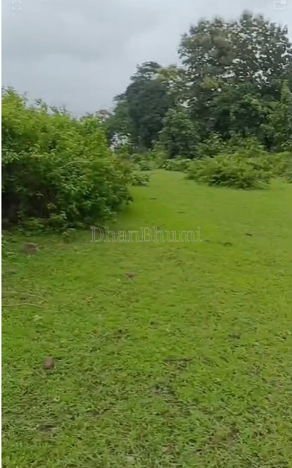 property_images/agricultural_in_seoni_1788954464_6aa1476042f4a.png
