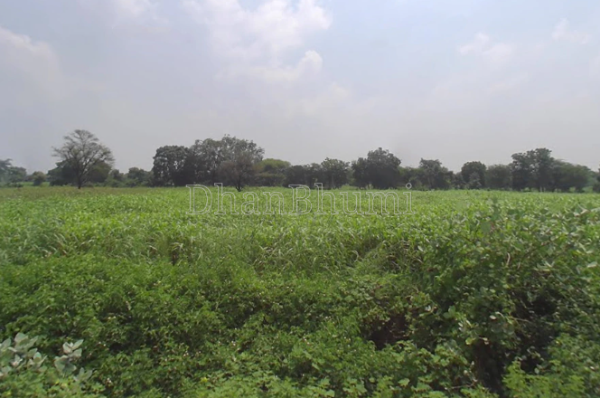 property_images/agricultural_in_seraikela_kharsawan_1780900184_6a2661588404a.PNG