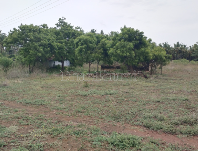property_images/agricultural_in_shahdol_1787038233_6a840a19be21e.png