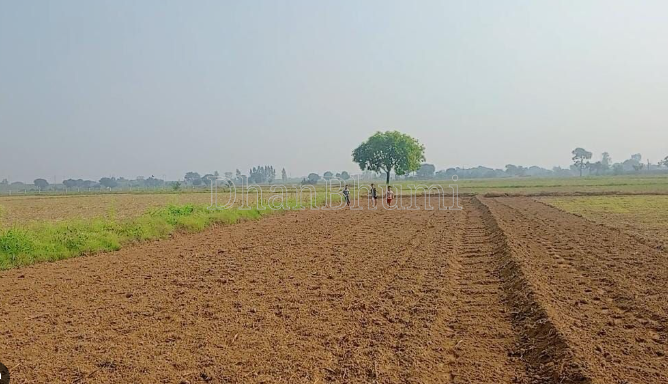 property_images/agricultural_in_shahdol_1791962482_6acf2d727eb44.png