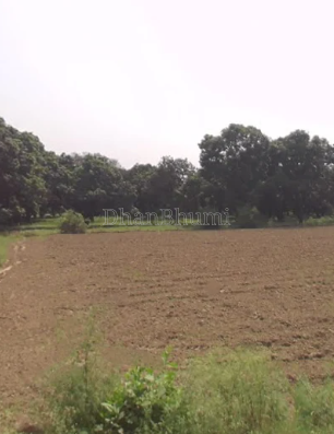 property_images/agricultural_in_shahjahanpur_1780915873_6a269ea103650.PNG